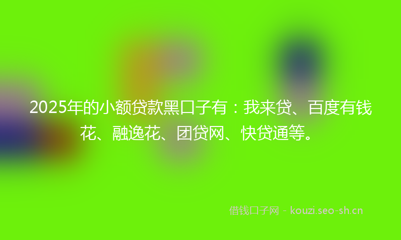 2025年的小额贷款黑口子有：我来贷、百度有钱花、融逸花、团贷网、快贷通等。