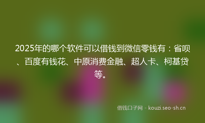 2025年的哪个软件可以借钱到微信零钱有：省呗、百度有钱花、中原消费金融、超人卡、柯基贷等。