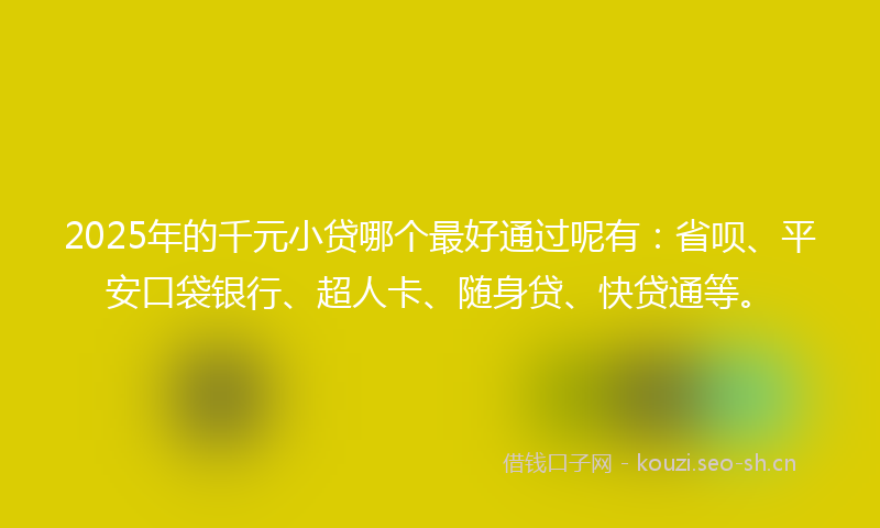 2025年的千元小贷哪个最好通过呢有：省呗、平安口袋银行、超人卡、随身贷、快贷通等。