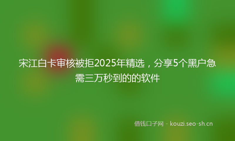 宋江白卡审核被拒2025年精选，分享5个黑户急需三万秒到的的软件