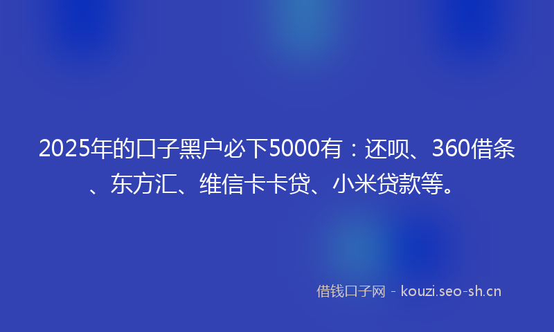 2025年的口子黑户必下5000有:还呗、360借条、东方汇、维信卡卡贷、小米贷款等。