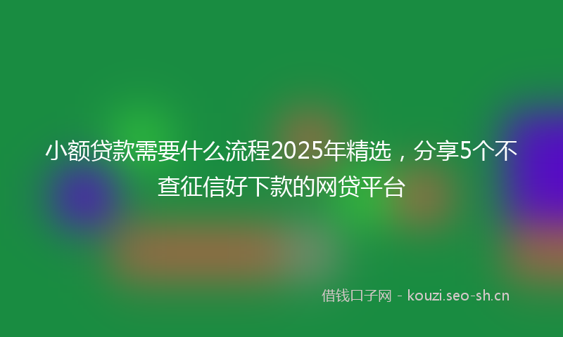 小额贷款需要什么流程2025年精选，分享5个不查征信好下款的网贷平台