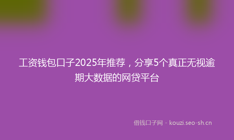 工资钱包口子2025年推荐,分享5个真正无视逾期大数据的网贷平台