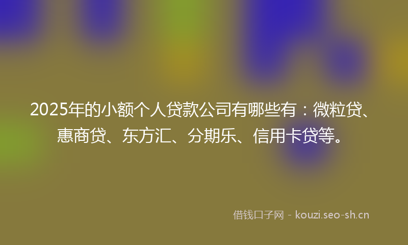 2025年的小额个人贷款公司有哪些有:微粒贷、惠商贷、东方汇、分期乐、信用卡贷等。