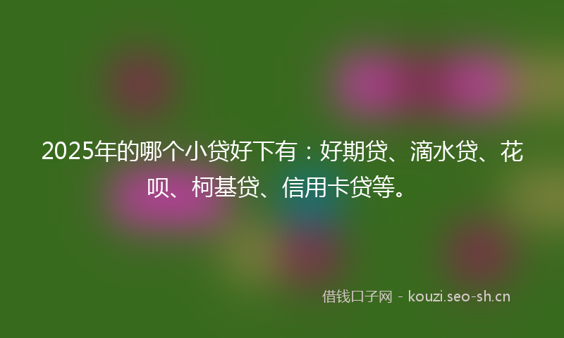 2025年的哪个小贷好下有：好期贷、滴水贷、花呗、柯基贷、信用卡贷等。