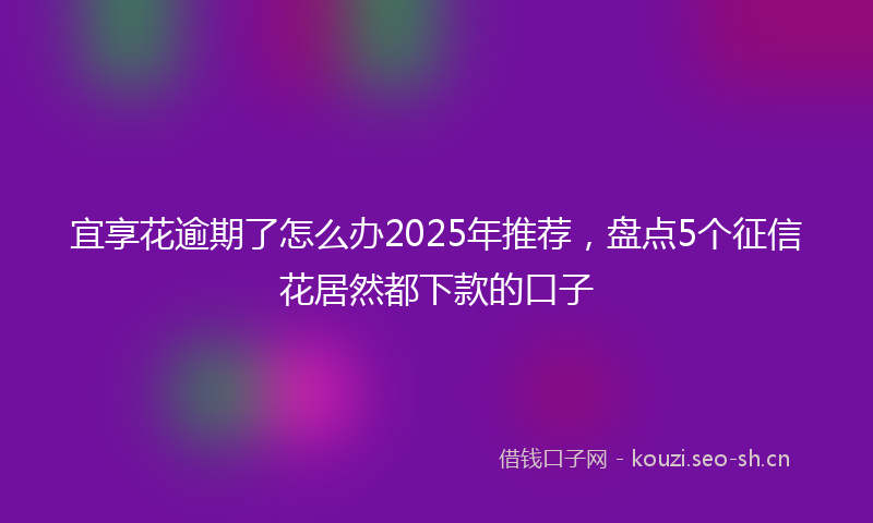 宜享花逾期了怎么办2025年推荐，盘点5个征信花居然都下款的口子