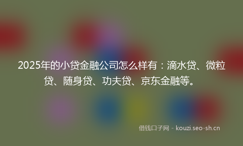 2025年的小贷金融公司怎么样有：滴水贷、微粒贷、随身贷、功夫贷、京东金融等。