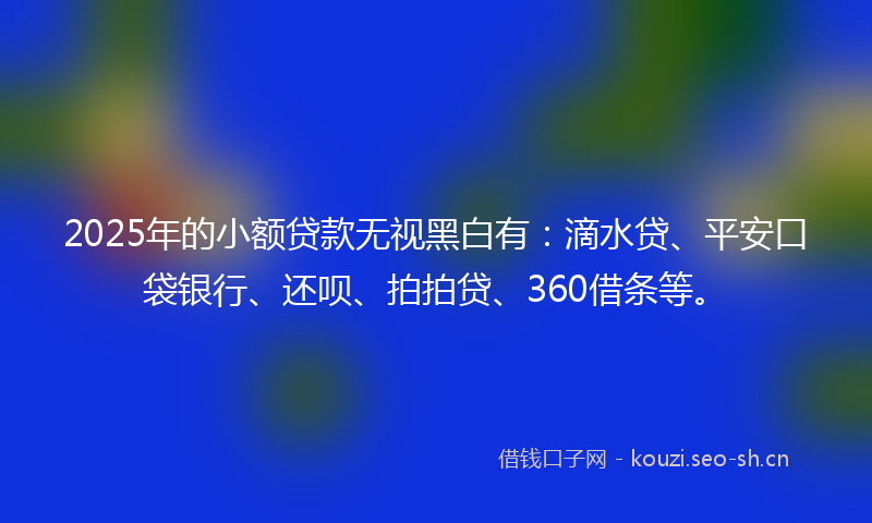 2025年的小额贷款无视黑白有：滴水贷、平安口袋银行、还呗、拍拍贷、360借条等。