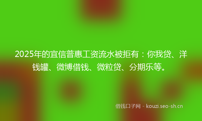 2025年的宜信普惠工资流水被拒有：你我贷、洋钱罐、微博借钱、微粒贷、分期乐等。