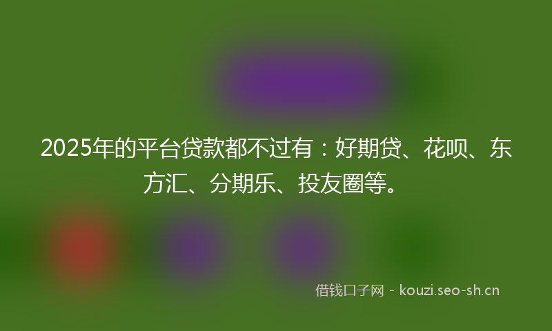 2025年的平台贷款都不过有：好期贷、花呗、东方汇、分期乐、投友圈等。