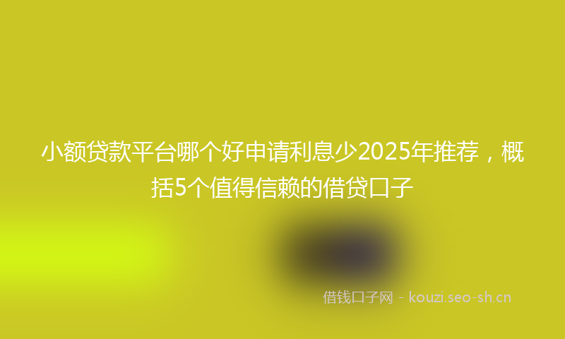 小额贷款平台哪个好申请利息少2025年推荐，概括5个值得信赖的借贷口子