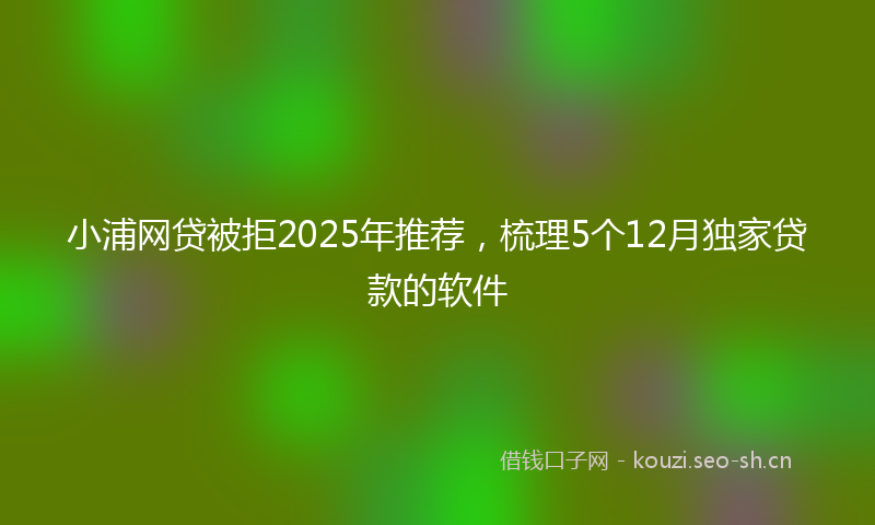 小浦网贷被拒2025年推荐,梳理5个12月独家贷款的软件