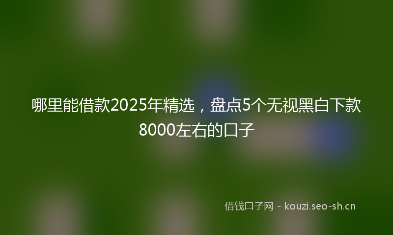 哪里能借款2025年精选，盘点5个无视黑白下款8000左右的口子