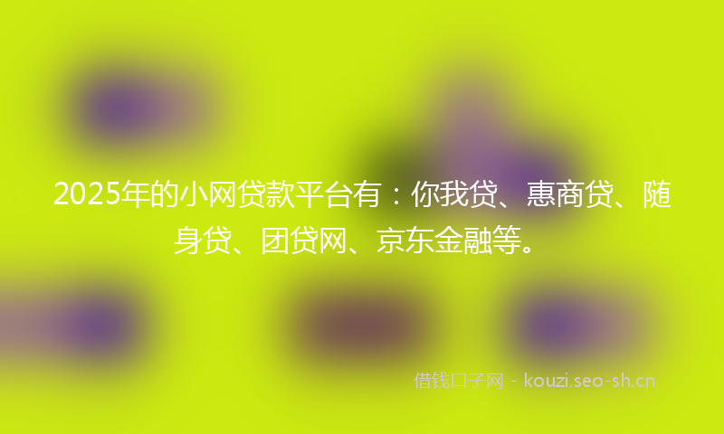 2025年的小网贷款平台有：你我贷、惠商贷、随身贷、团贷网、京东金融等。