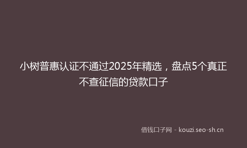 小树普惠认证不通过2025年精选，盘点5个真正不查征信的贷款口子