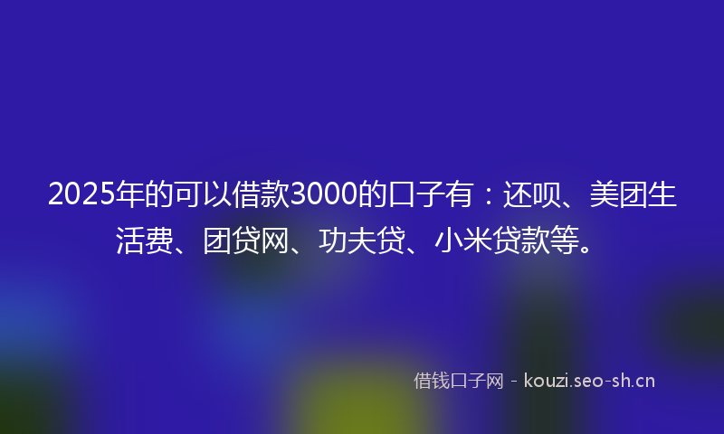 2025年的可以借款3000的口子有：还呗、美团生活费、团贷网、功夫贷、小米贷款等。