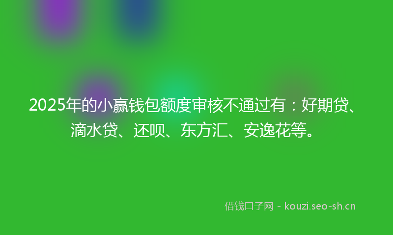 2025年的小赢钱包额度审核不通过有：好期贷、滴水贷、还呗、东方汇、安逸花等。