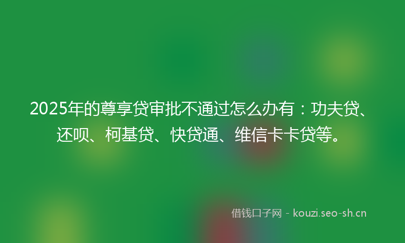 2025年的尊享贷审批不通过怎么办有：功夫贷、还呗、柯基贷、快贷通、维信卡卡贷等。