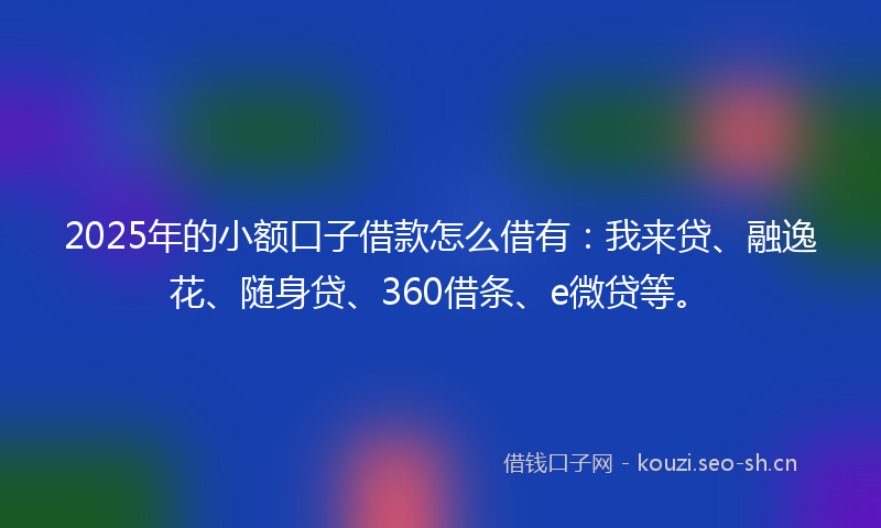 2025年的小额口子借款怎么借有：我来贷、融逸花、随身贷、360借条、e微贷等。