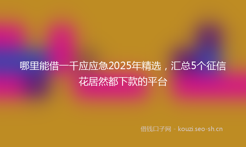 哪里能借一千应应急2025年精选，汇总5个征信花居然都下款的平台