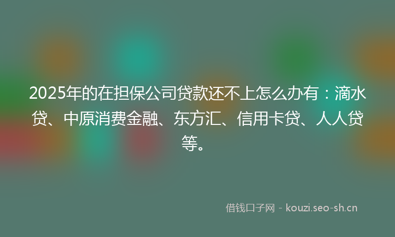 2025年的在担保公司贷款还不上怎么办有：滴水贷、中原消费金融、东方汇、信用卡贷、人人贷等。