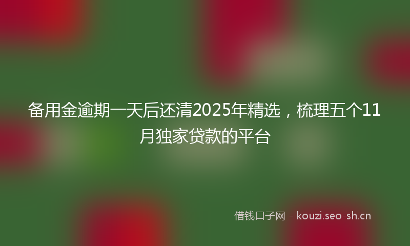 备用金逾期一天后还清2025年精选，梳理五个11月独家贷款的平台