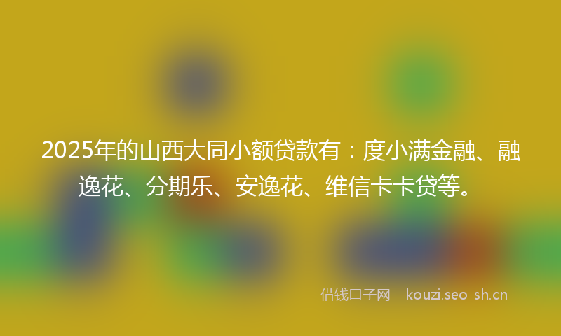 2025年的山西大同小额贷款有：度小满金融、融逸花、分期乐、安逸花、维信卡卡贷等。