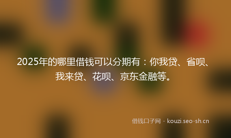 2025年的哪里借钱可以分期有：你我贷、省呗、我来贷、花呗、京东金融等。