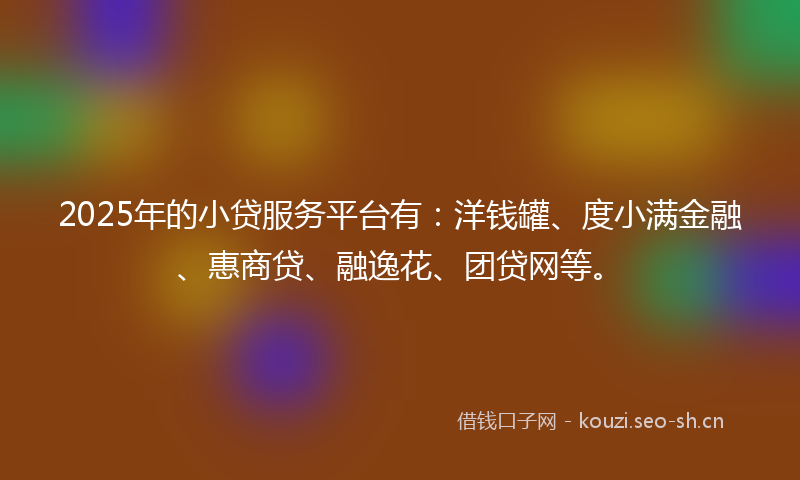 2025年的小贷服务平台有：洋钱罐、度小满金融、惠商贷、融逸花、团贷网等。