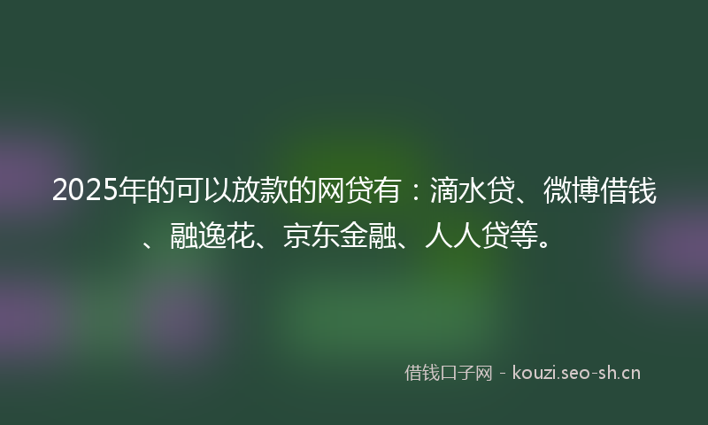 2025年的可以放款的网贷有：滴水贷、微博借钱、融逸花、京东金融、人人贷等。