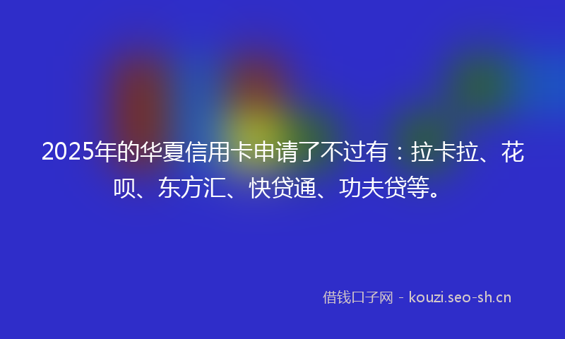 2025年的华夏信用卡申请了不过有：拉卡拉、花呗、东方汇、快贷通、功夫贷等。