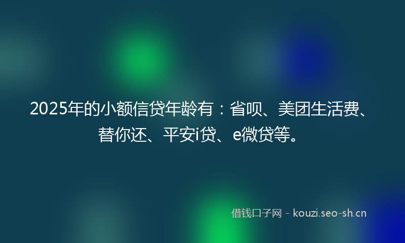 2025年的小额信贷年龄有：省呗、美团生活费、替你还、平安i贷、e微贷等。