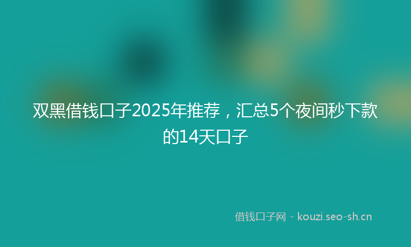 双黑借钱口子2025年推荐，汇总5个夜间秒下款的14天口子