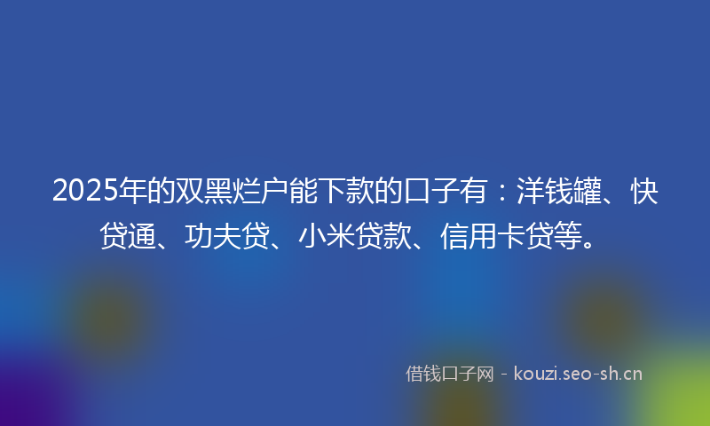 2025年的双黑烂户能下款的口子有：洋钱罐、快贷通、功夫贷、小米贷款、信用卡贷等。