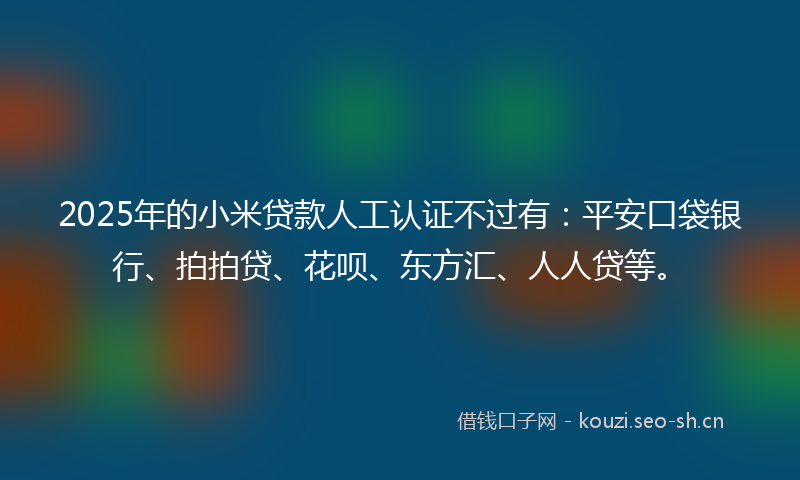2025年的小米贷款人工认证不过有：平安口袋银行、拍拍贷、花呗、东方汇、人人贷等。