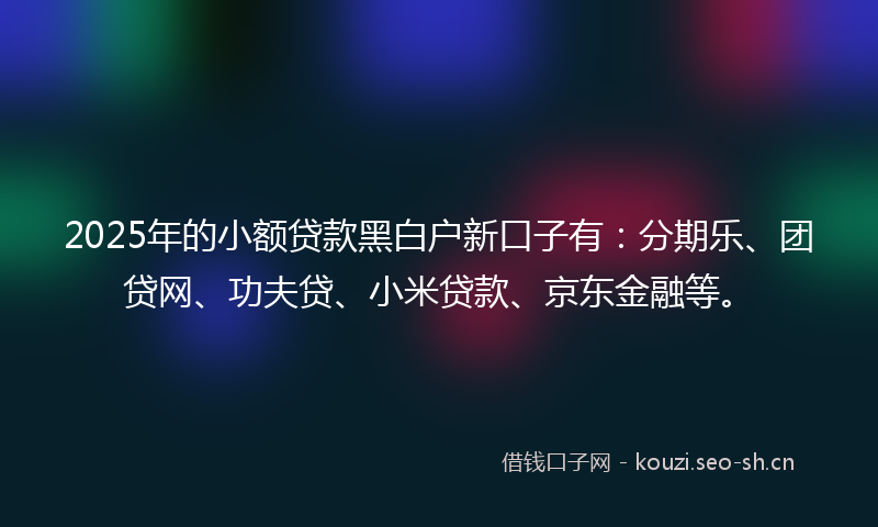 2025年的小额贷款黑白户新口子有：分期乐、团贷网、功夫贷、小米贷款、京东金融等。