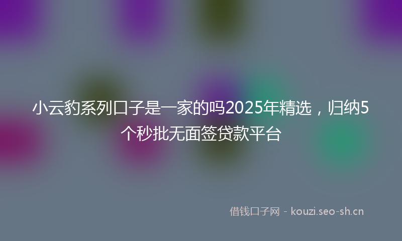 小云豹系列口子是一家的吗2025年精选，归纳5个秒批无面签贷款平台