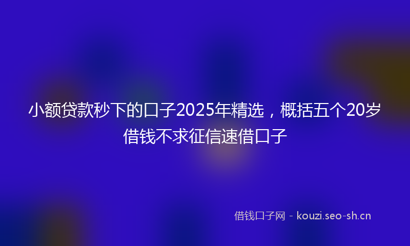 小额贷款秒下的口子2025年精选，概括五个20岁借钱不求征信速借口子