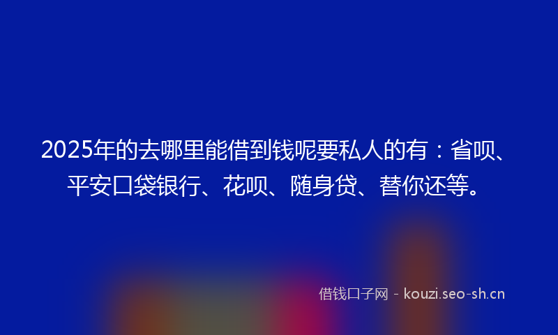 2025年的去哪里能借到钱呢要私人的有：省呗、平安口袋银行、花呗、随身贷、替你还等。