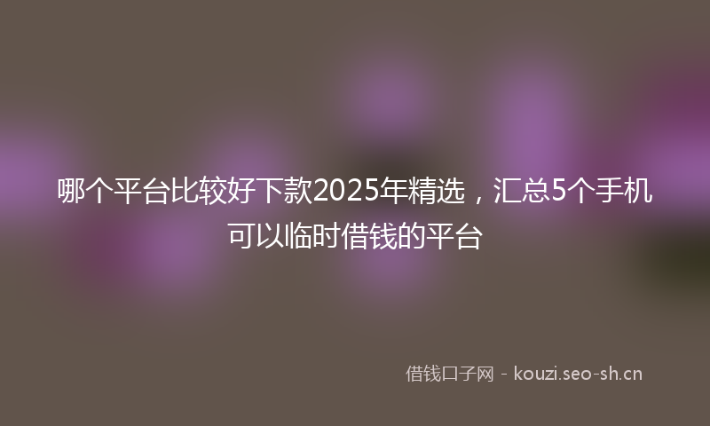哪个平台比较好下款2025年精选，汇总5个手机可以临时借钱的平台