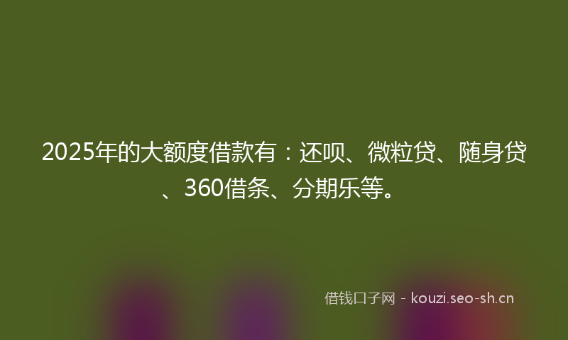 2025年的大额度借款有：还呗、微粒贷、随身贷、360借条、分期乐等。