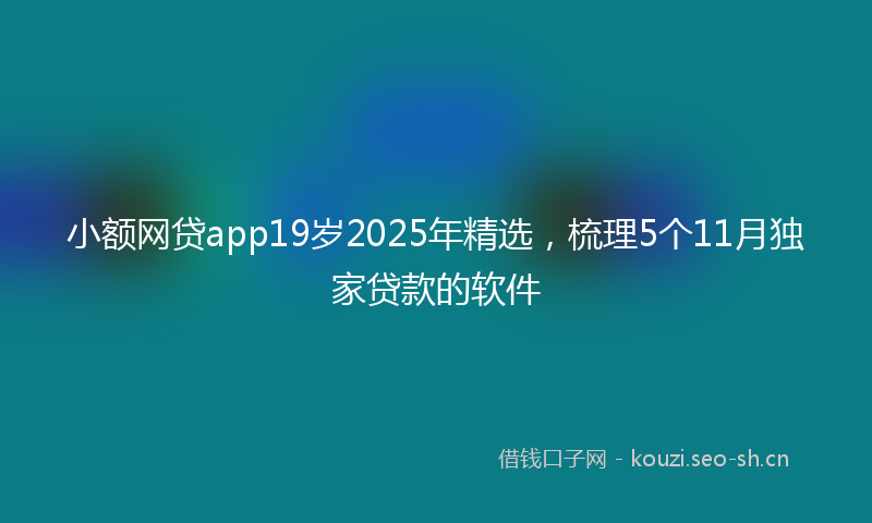 小额网贷app19岁2025年精选，梳理5个11月独家贷款的软件