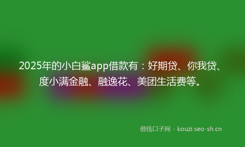 2025年的小白鲨app借款有：好期贷、你我贷、度小满金融、融逸花、美团生活费等。