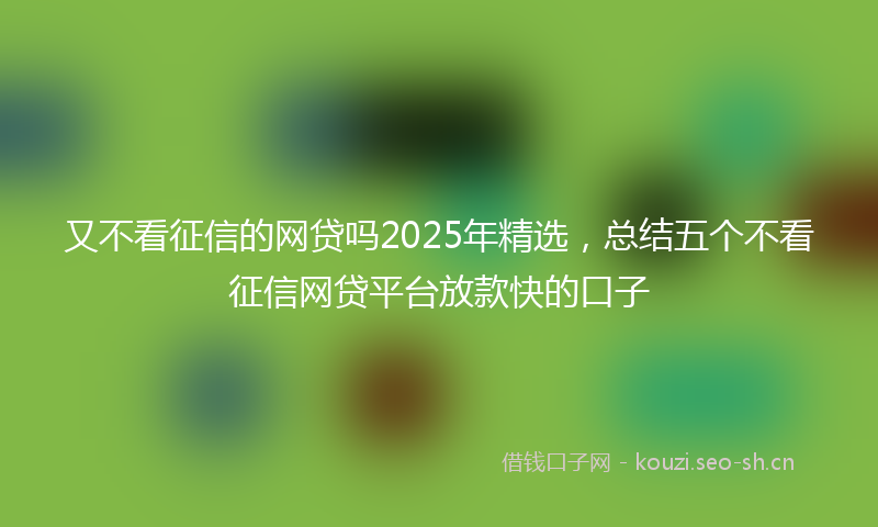 又不看征信的网贷吗2025年精选，总结五个不看征信网贷平台放款快的口子