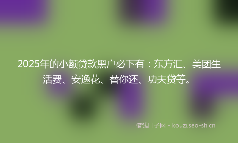 2025年的小额贷款黑户必下有：东方汇、美团生活费、安逸花、替你还、功夫贷等。