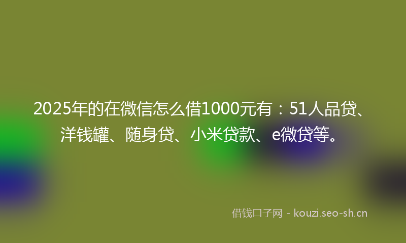 2025年的在微信怎么借1000元有：51人品贷、洋钱罐、随身贷、小米贷款、e微贷等。