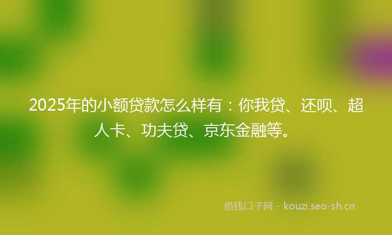 2025年的小额贷款怎么样有：你我贷、还呗、超人卡、功夫贷、京东金融等。
