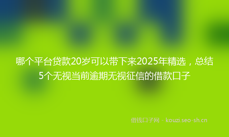 哪个平台贷款20岁可以带下来2025年精选，总结5个无视当前逾期无视征信的借款口子