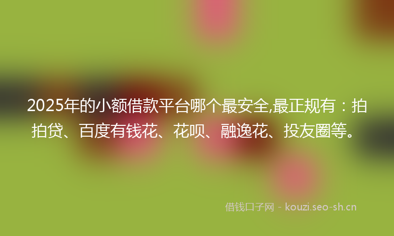 2025年的小额借款平台哪个最安全,最正规有：拍拍贷、百度有钱花、花呗、融逸花、投友圈等。