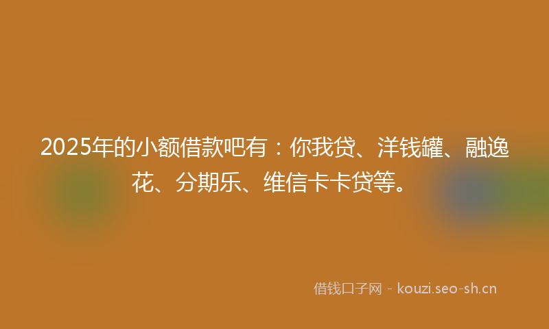 2025年的小额借款吧有:你我贷、洋钱罐、融逸花、分期乐、维信卡卡贷等。